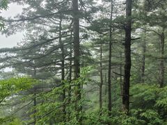 -秦岭天竺山生态文化旅游景区