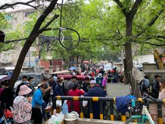 -马文章胖子甑糕(洒金桥店)