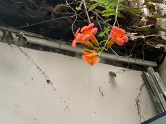 -院子餐厅·大锅菜·老杭帮(桥西直街店)