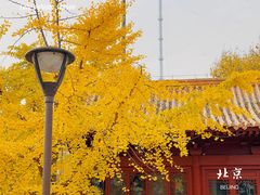 -元大都城垣遗址公园