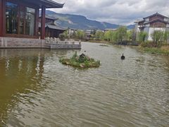-丽江金茂凯悦臻选酒店-滇香馆