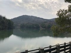 -白马涧龙池景区