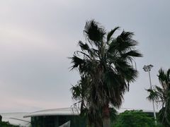 -厦门邮轮中心厦鼓码头(轮渡站)