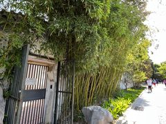 -团结湖公园