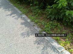 -华侨城湿地公园