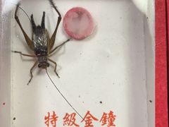 -万商花鸟市场