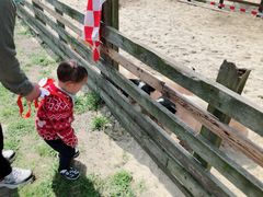 -田园东方蜜桃村的田野营地