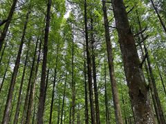 -山王坪喀斯特国家生态公园