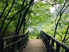 -十渡东湖港风景区