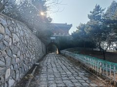 -云岗森林公园