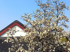 -堤角公园
