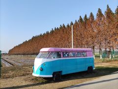 -嘉北郊野公园