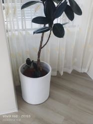 -HEYAN荷妍专业脱毛连锁机构