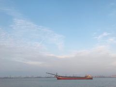 -大湾区中央湿地公园-十九涌