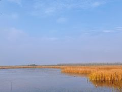 -野鸭湖国家湿地公园
