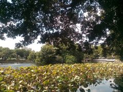 -荔湾湖公园