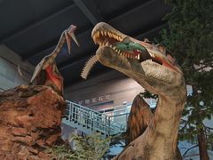 -湖南省地质博物馆