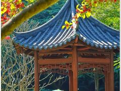 -云溪植物园