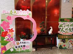 -大鸭梨烤鸭·北京菜(大兴南小街店)