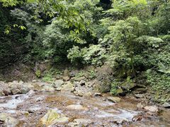 -西岭雪山大飞水景区
