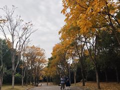 -牛岗山公园