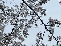 -七宝老街-闵行市民文化广场