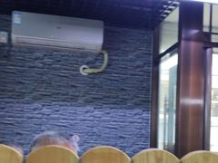 -生活本该如此北京小馆(周庄嘉园店)