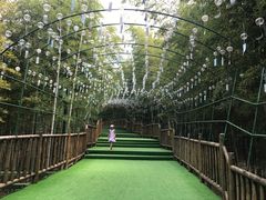 -陶祖圣境风景区