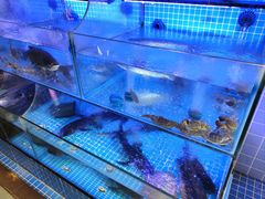-有藕有鱼·湖北菜(唐家墩店)
