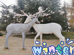-后襄河公园