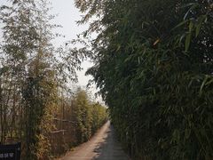 -武汉紫薇都市田园