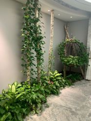 -艾维庭美学SPA