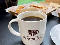 -喜马拉雅森HIMALAYAN FOREST