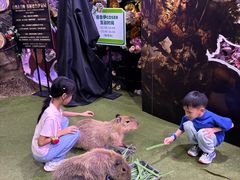 -正佳雨林生态植物园
