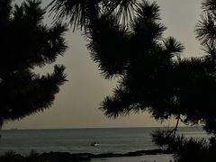 -青岛海尔洲际酒店