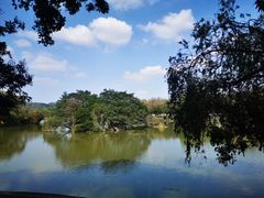 -番禺大夫山森林公园