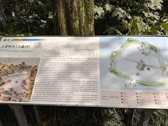 -西湖游船