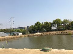 -胜丰草莓采摘园