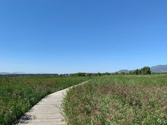 -野鸭湖国家湿地公园