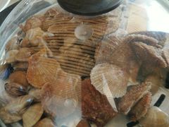 贝类海鲜咖-雅逸居海鲜小厨