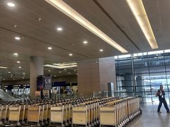 -上海浦东国际机场-T2航站楼