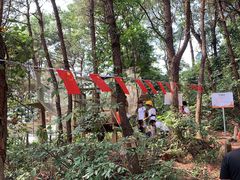 -芦仙山景区-飞越丛林探险乐园