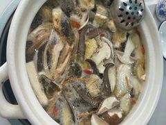 -蘑统田下·野生菌火锅