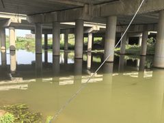 -洨河生态公园
