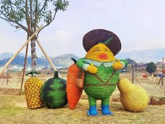 -福建土楼（华安）旅游区•大地土楼群