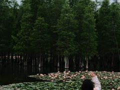 -白鹭湾湿地公园