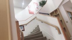 点击看大图 -WENDY·温迪皮肤管理