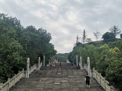 -铁山坪森林公园