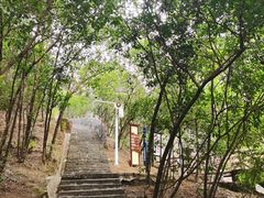 -广州白江湖森林公园