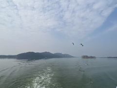 -东湖落雁景区